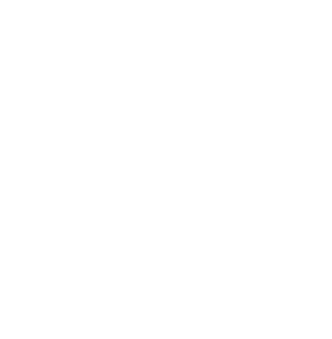 icono seguro